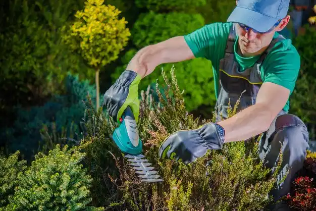 landscaping services Cave City